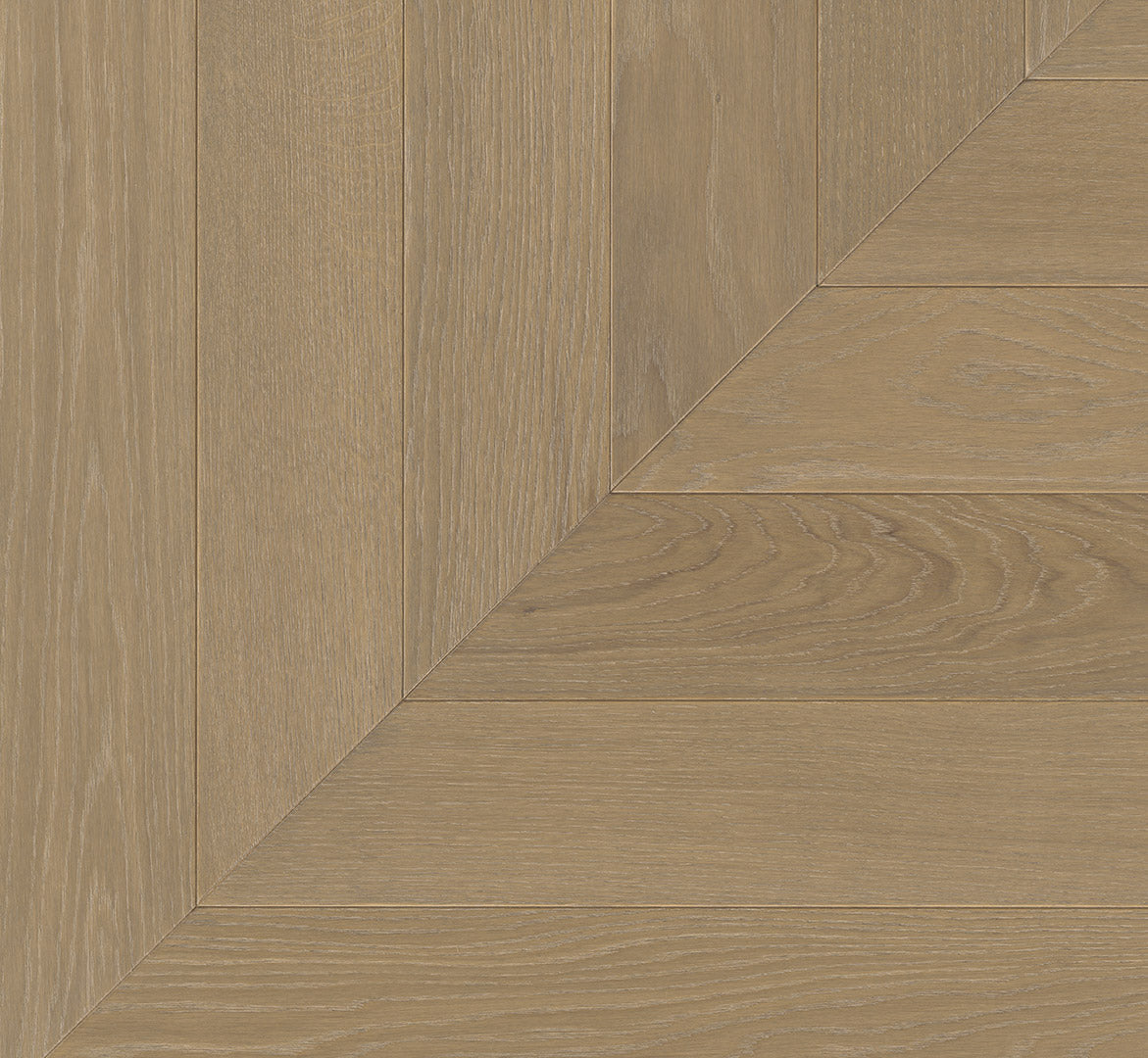 Oak Sienna