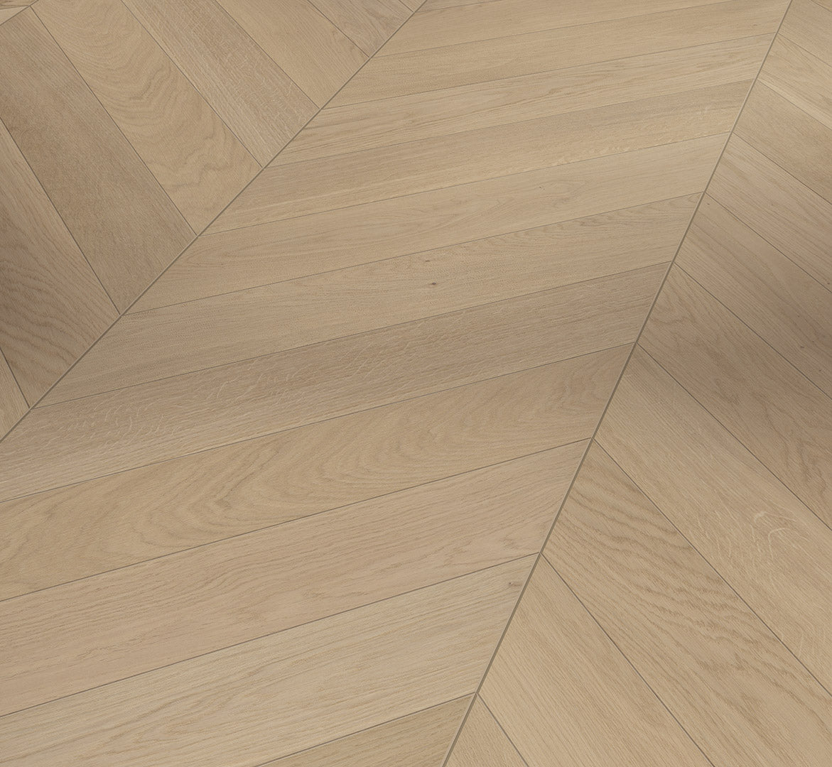 Oak Dune