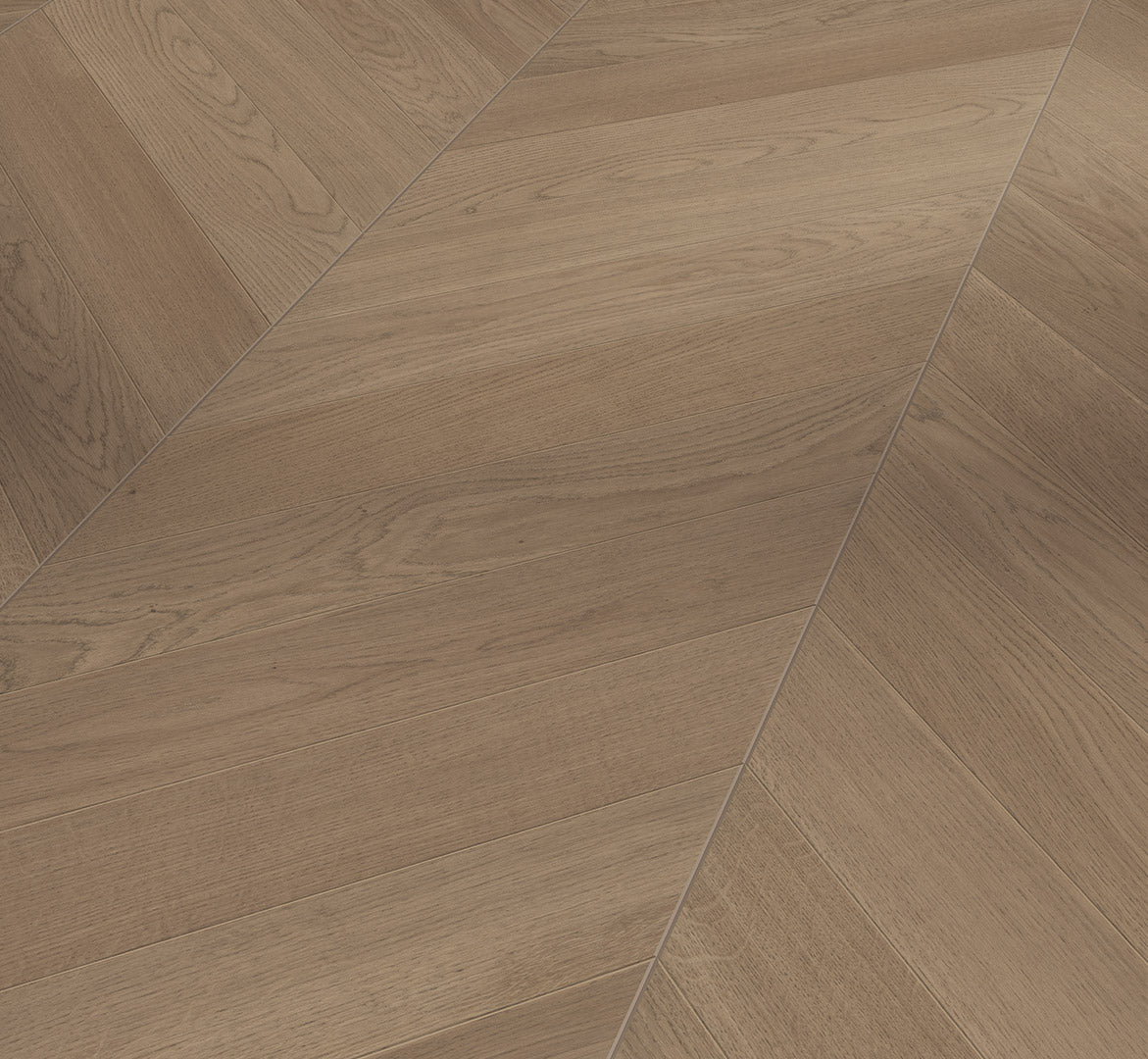 Oak Tuscan