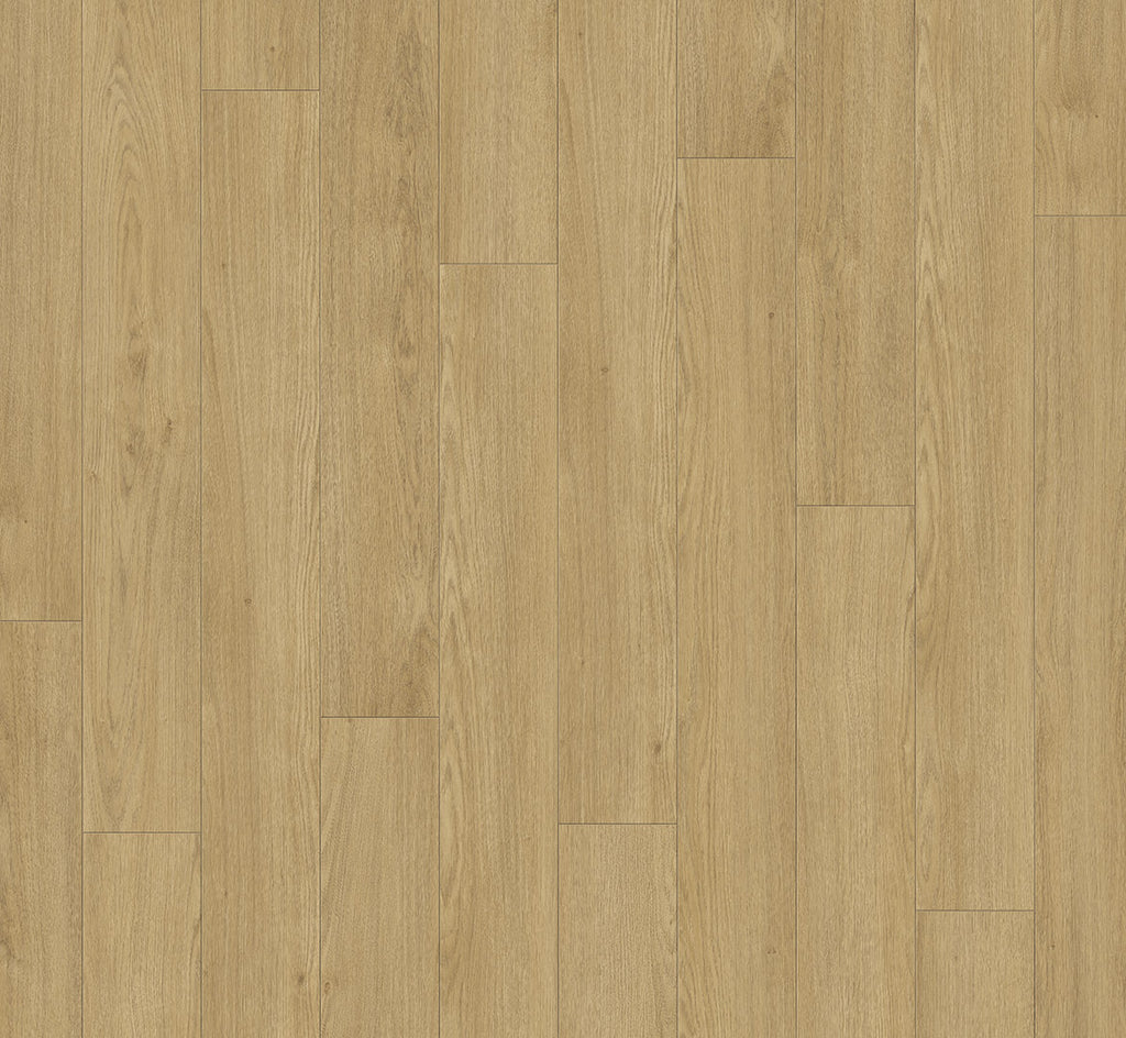 Oak Mont Blanc natural