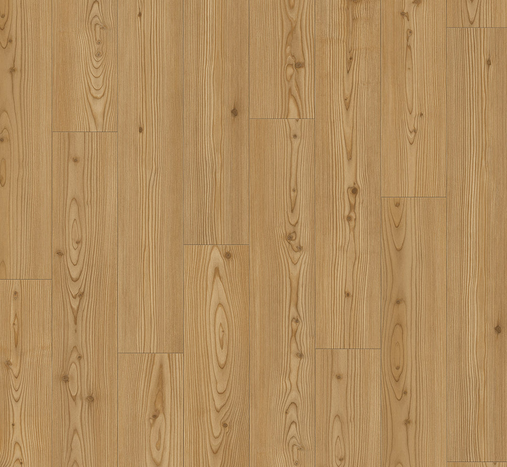 Larch Yukon honey