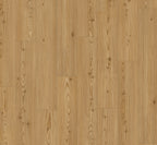 Larch Yukon honey
