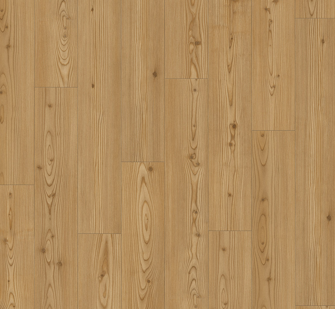 Larch Yukon honey