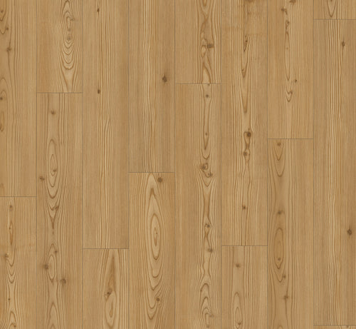 Larch Yukon honey