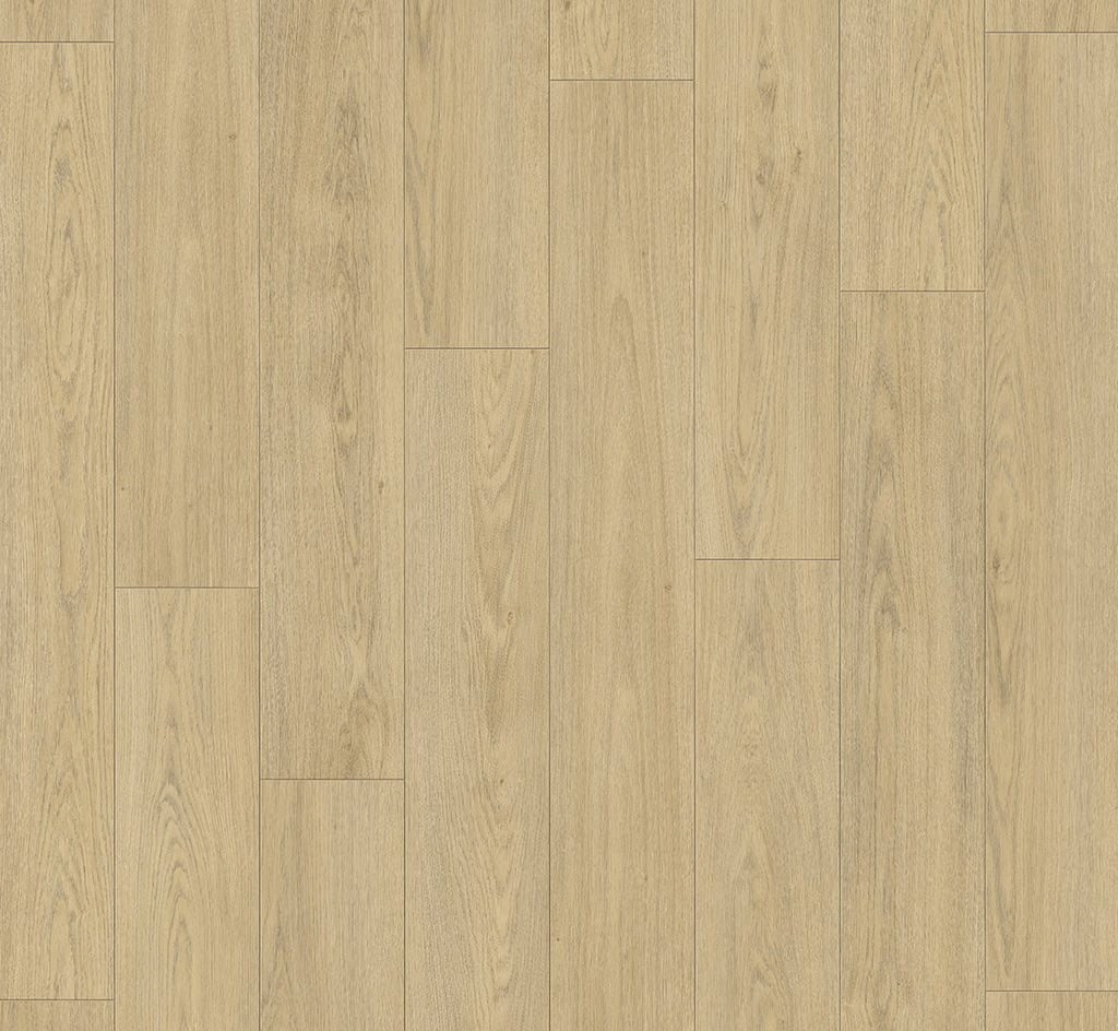 Oak Mont Blanc sanded