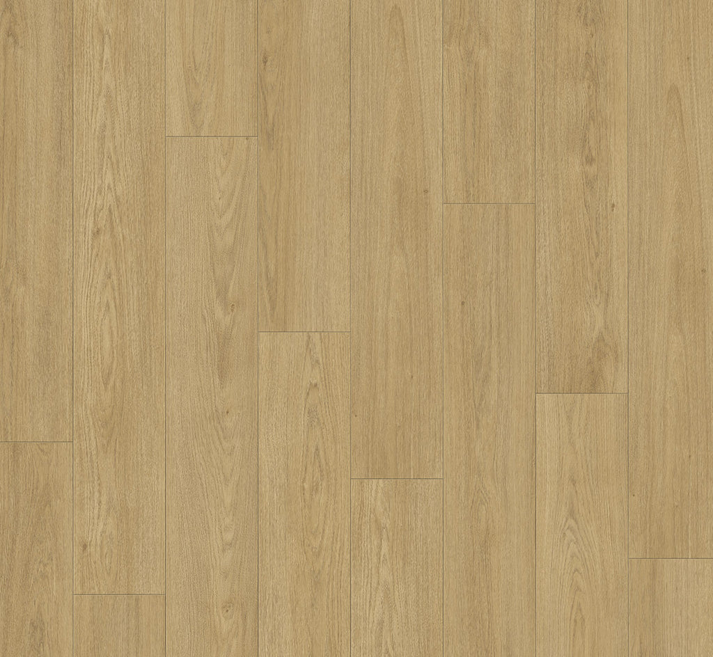 Oak Mont Blanc natural