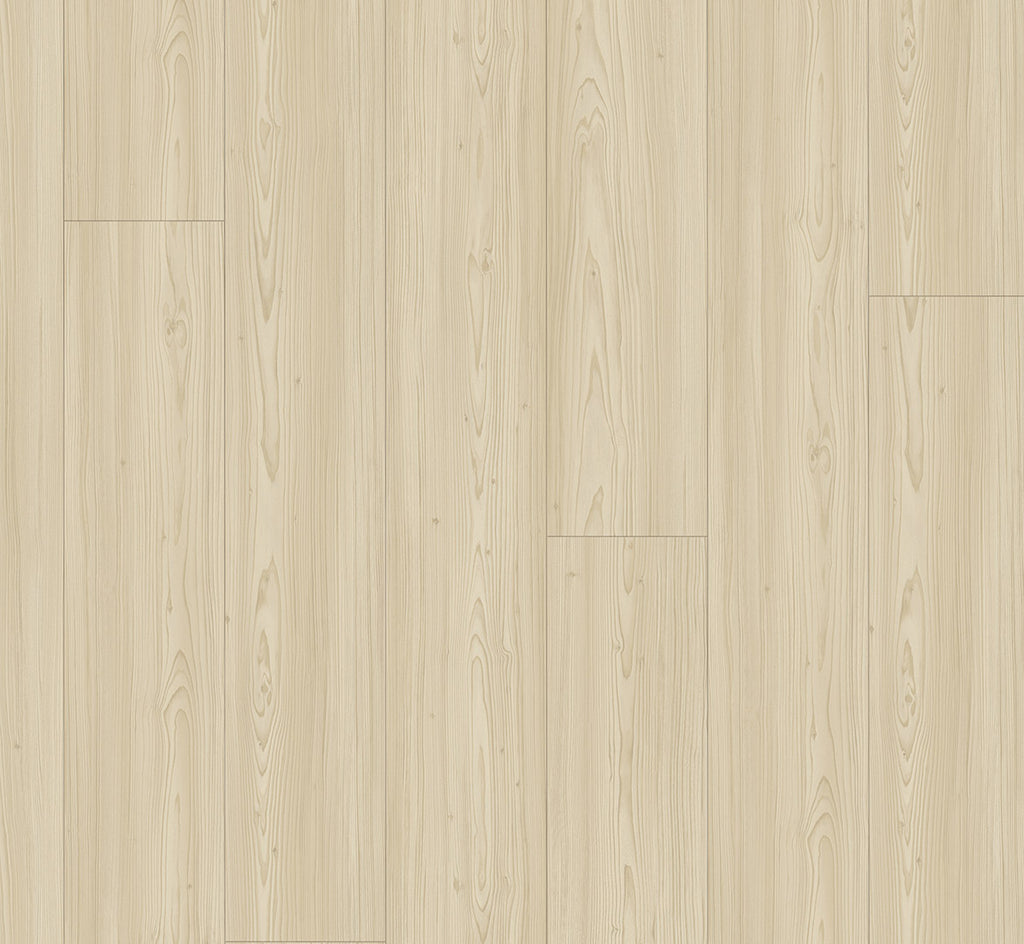Larch Apollo natural