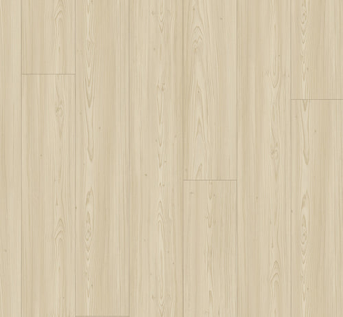 Larch Apollo natural