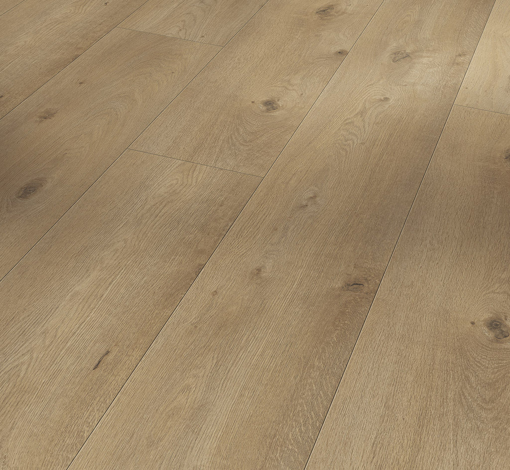 Oak  Everglade natural
