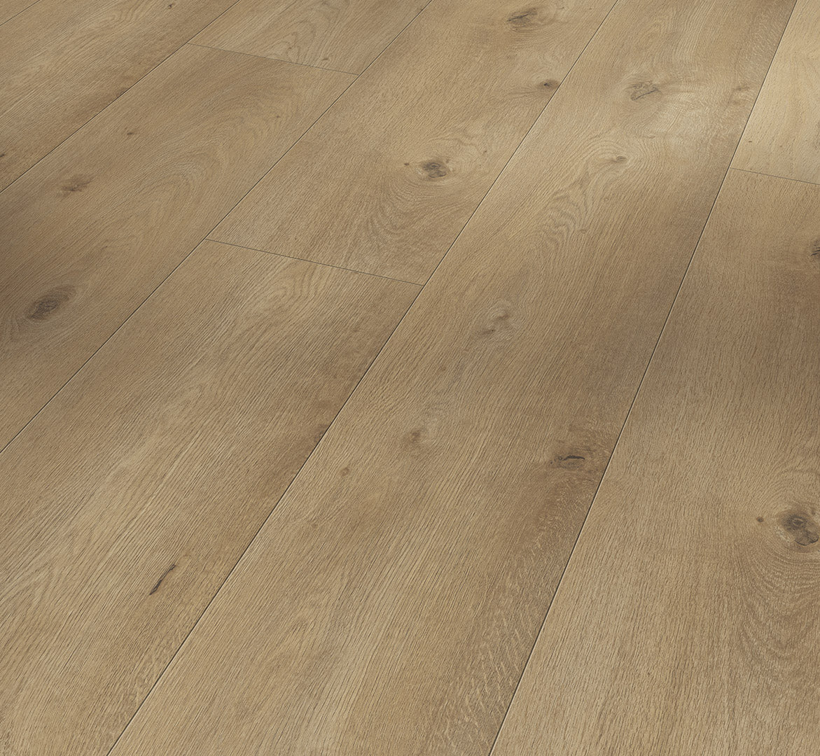 Oak  Everglade natural