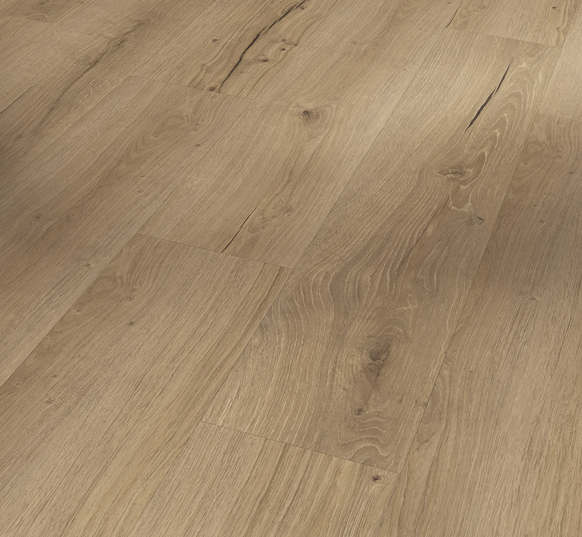 Oak Cambridge natural