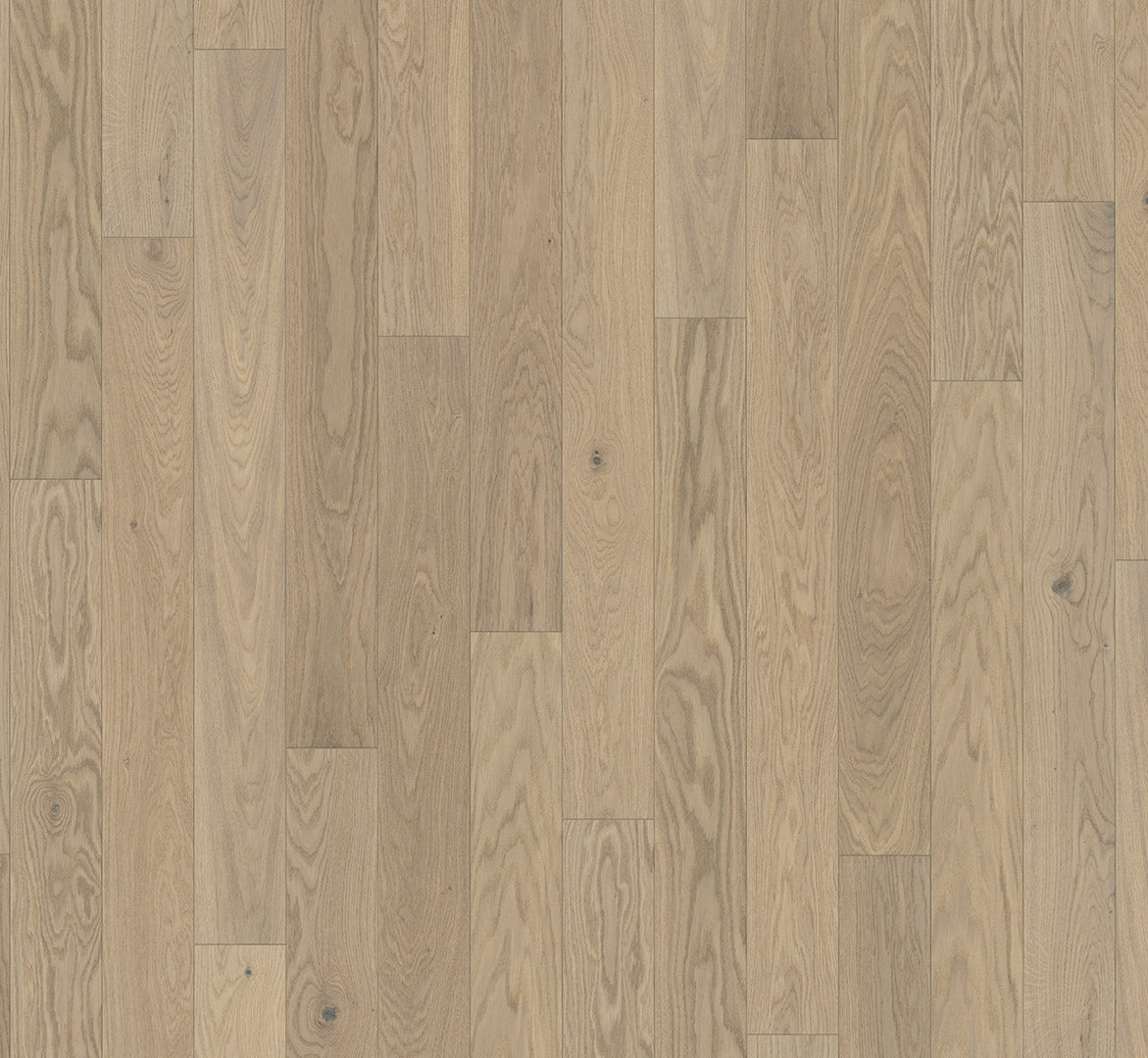 Oak Cortese white