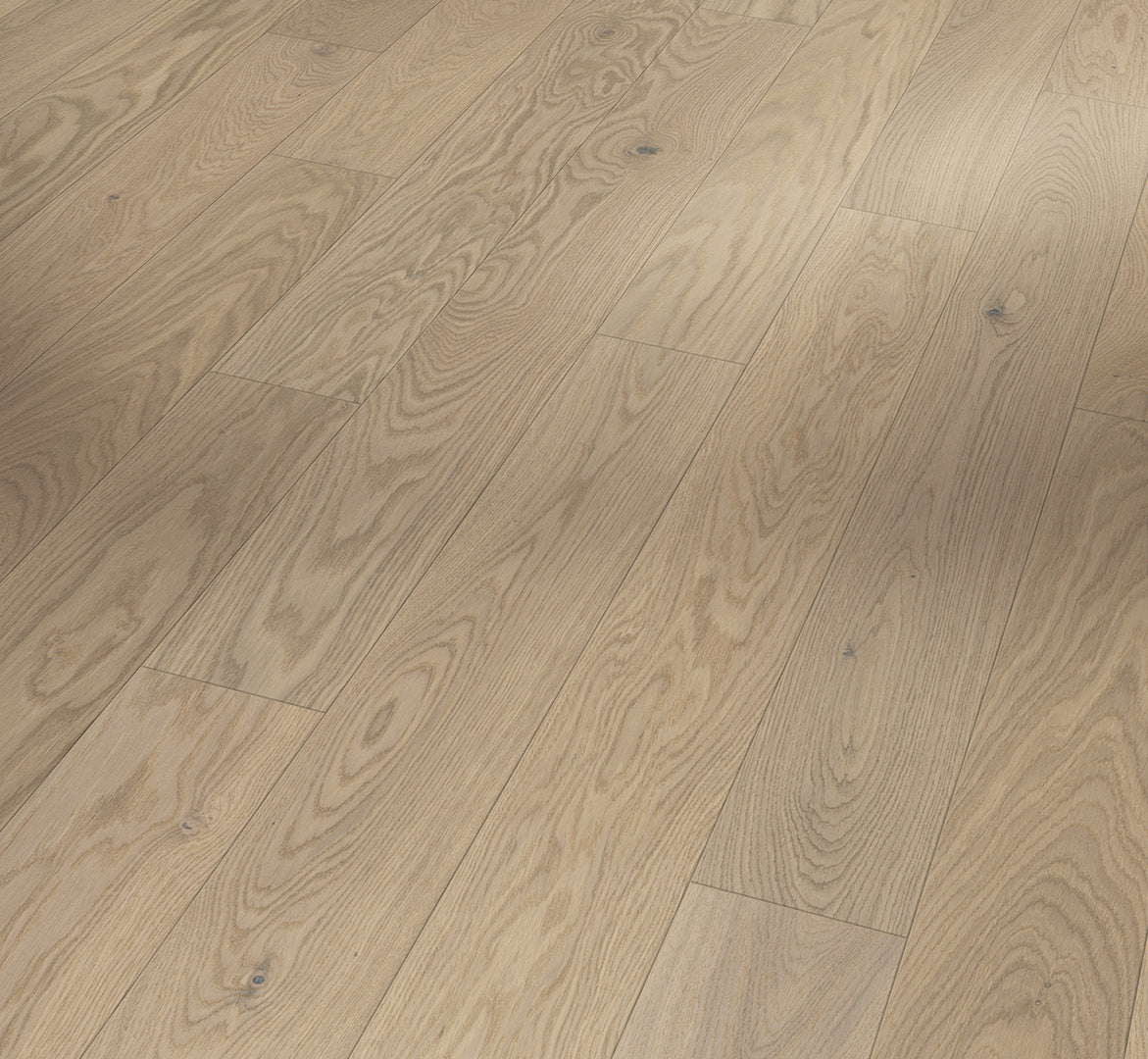 Oak Cortese white