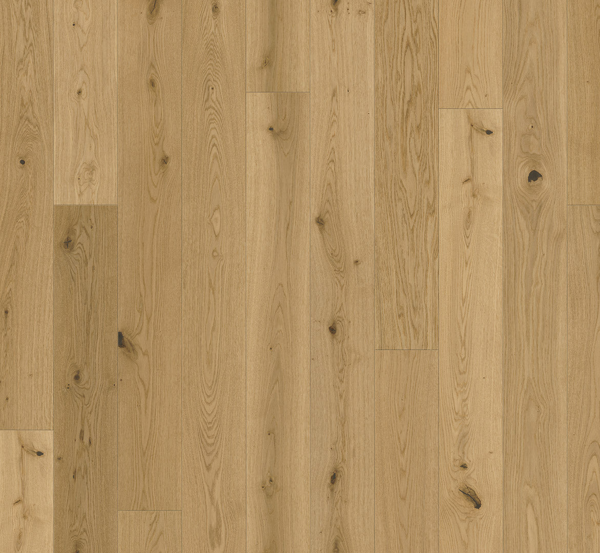 Oak Lugana natural