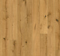 Oak Savanna