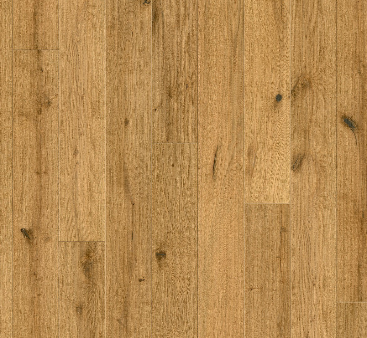 Oak Savanna