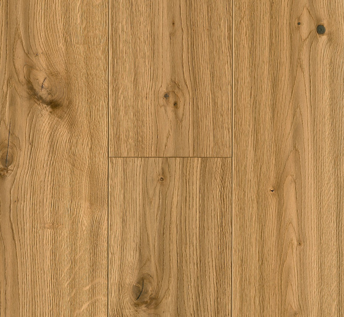 Oak Kalahari