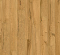 Oak Tanami
